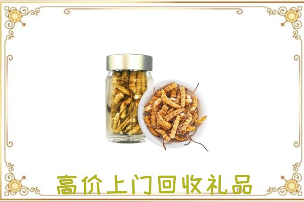 定西周边回收虫草